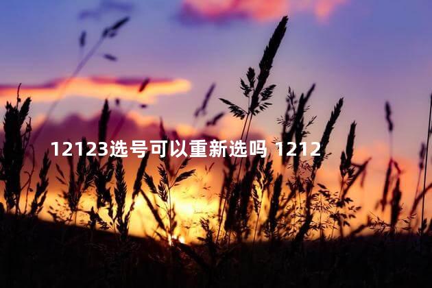 12123选号可以重新选吗 12123选号成功还能再选吗